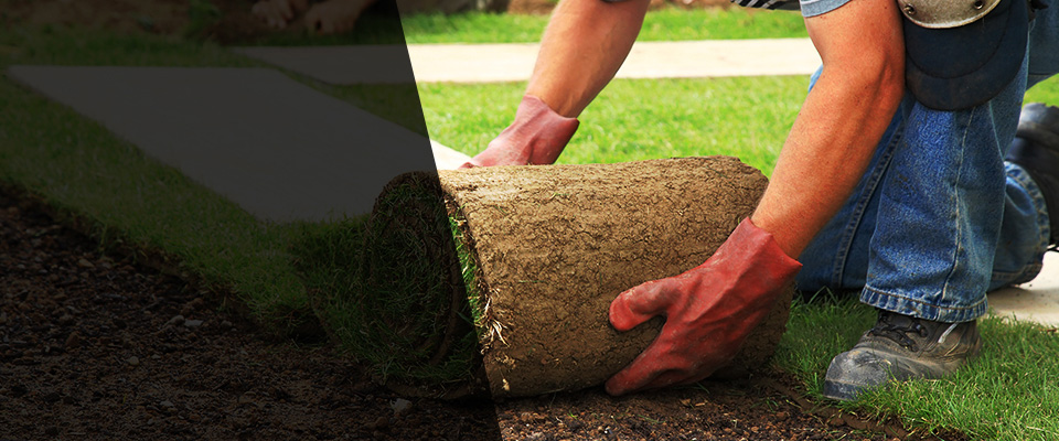 Hallsville Landscapers